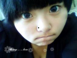 小粟图片,探寻生活之美，捕捉光影瞬间