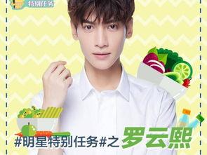 任务(明星),揭秘明星们的闪耀人生