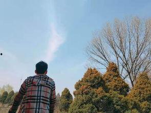 王金龙资料个人资料,才华横溢的青年才俊，成就非凡的人生轨迹