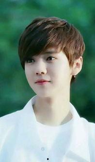 鹿晗的家庭背景资料,从平凡家庭走向璀璨星途的追梦之旅