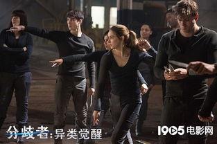 分歧者的背景,探索人性与选择的青春冒险之旅