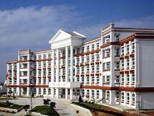 黎明大学网红,网络时代的教育新势力