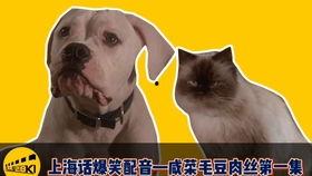 上海话配音秀搞笑视频,笑料百出，方言魅力无限